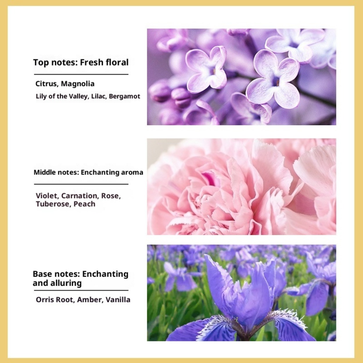 رقم. عطر نسائي 5 في 1: عطر يدو - مراجعة Perfume Fragrance Brands وسعره